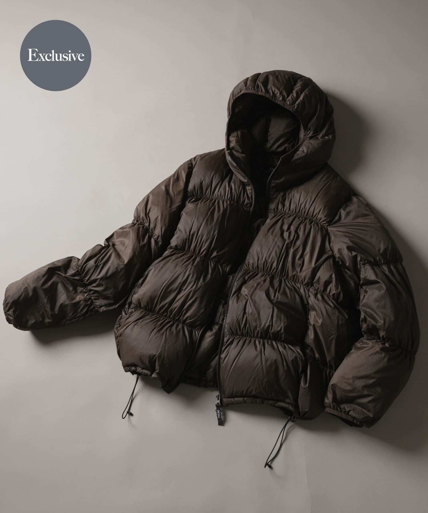 SENSE OF PLACE by URBAN RESEARCH「『別注』TAION&times;SENSE OF PLACE　ダウンフーディジャケット」|ダウン|ダークブラウン