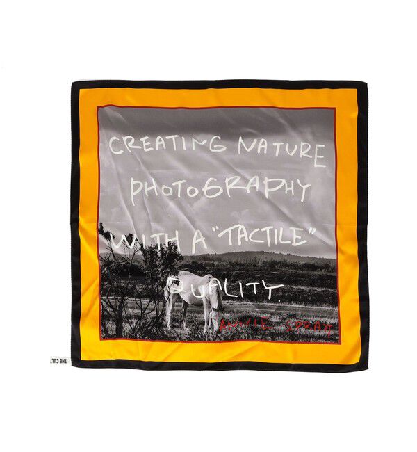 SHIPS for women「【SHIPS別注】THE CULTURE CORD: ARTIST SCARF（AS）」|バンダナ・スカーフ|