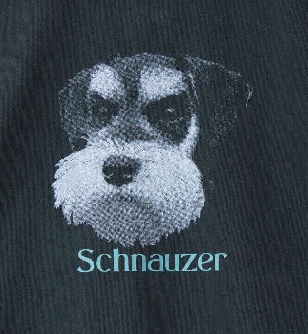 GLOSTER「【WEB限定】【人気シリーズ】【DOG&CAT】犬猫ピグメントロンT」|Tシャツ・カットソー|