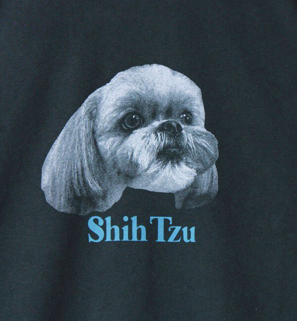 GLOSTER「【WEB限定】【人気シリーズ】【DOG&CAT】犬猫ピグメントロンT」|Tシャツ・カットソー|