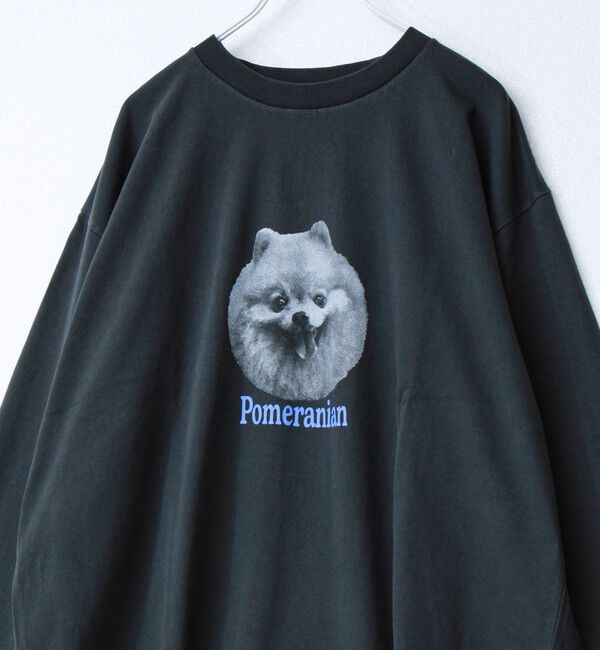 GLOSTER「【WEB限定】【人気シリーズ】【DOG&CAT】犬猫ピグメントロンT」|Tシャツ・カットソー|