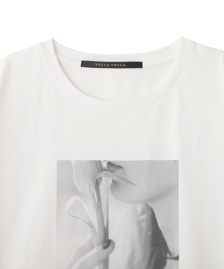 YECCA VECCA「【UVカット】フォトプリントTee」|Tシャツ・カットソー|