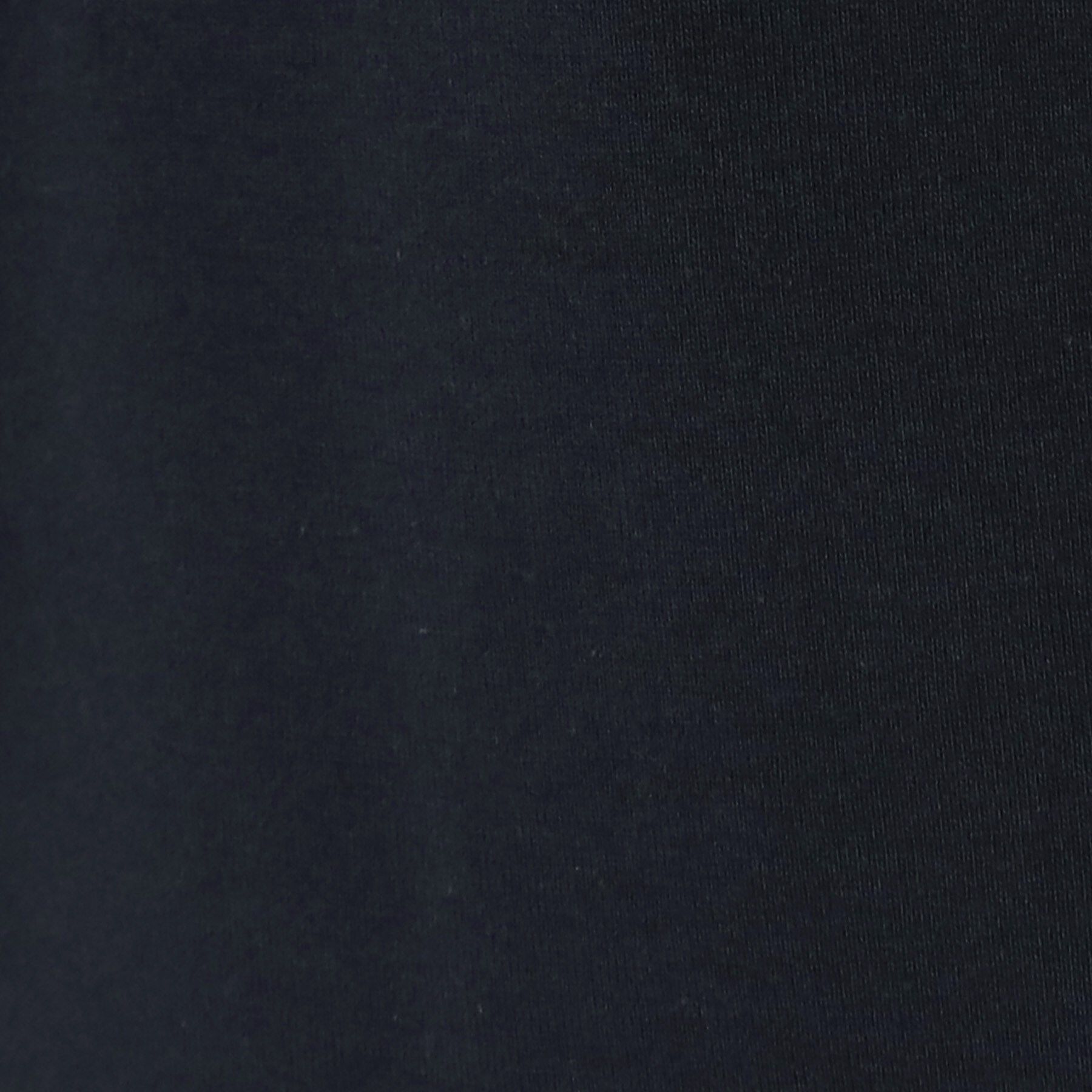 DRESSTERIOR「エクスクルーシブフライスロングTシャツ」|Tシャツ・カットソー|