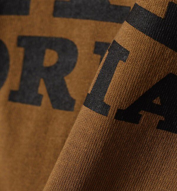 SHIPS any「《一部追加予約》【SHIPS any別注】THE KNiTS:〈洗濯機可能〉ロゴ プリント リンガー TEE」|Tシャツ・カットソー|