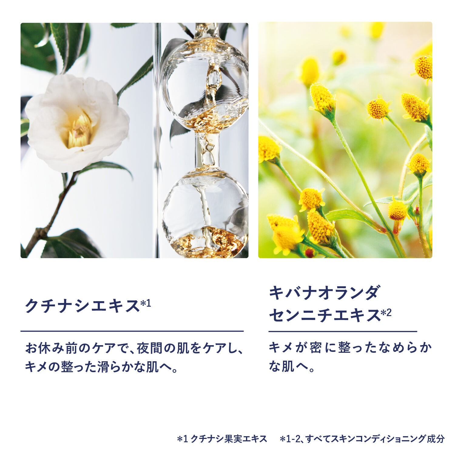 L&rsquo;OCCITANE「イモーテル オーバーナイトリセットセラム30mL」|美容液・オイル・クリーム|