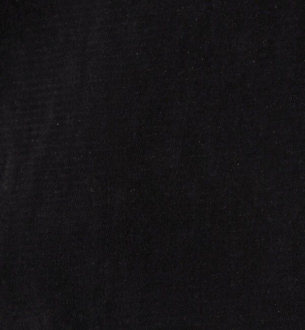 UNITED ARROWS green label relaxing「シアー フロッキー ラメ ロングスリーブ プルオーバー」|Tシャツ・カットソー|