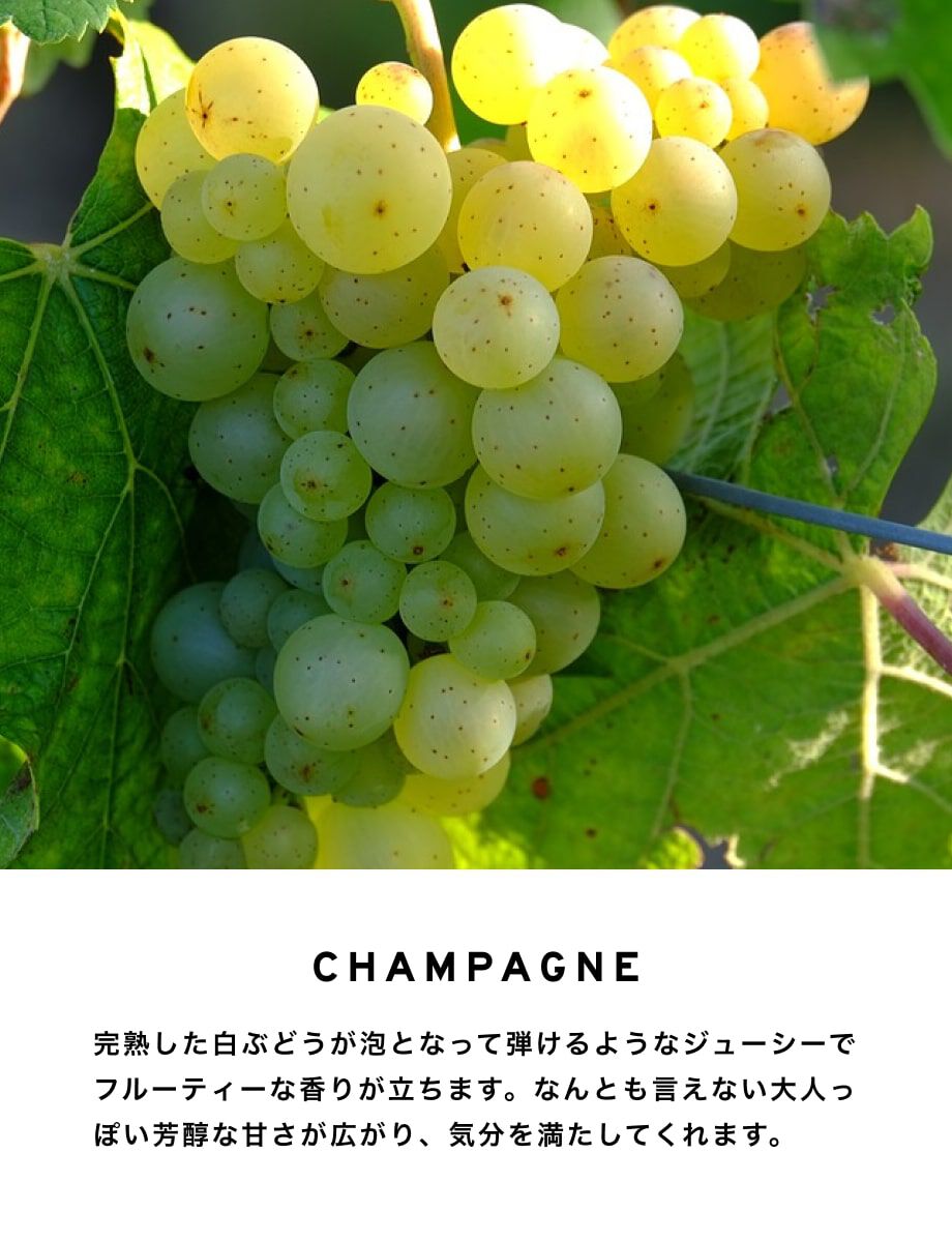 SHOLAYERED「レイヤードフレグランス ディフューザー 100ml」|香水・フレグランス|