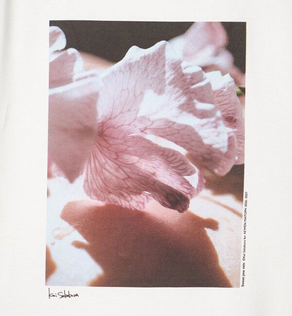 AEWEN MATOPH「＜Kei Sakakura for AEWEN MATOPH＞フォトTシャツ Sweet pea vein 」|Tシャツ・カットソー|