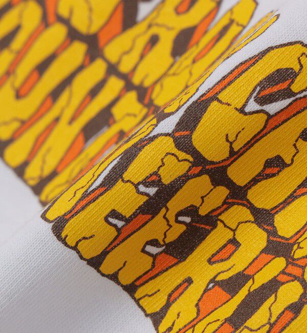 SHIPS「BIG ROCK CANDY MOUNTAINEERING: Granite Groupie Tシャツ」|Tシャツ・カットソー|
