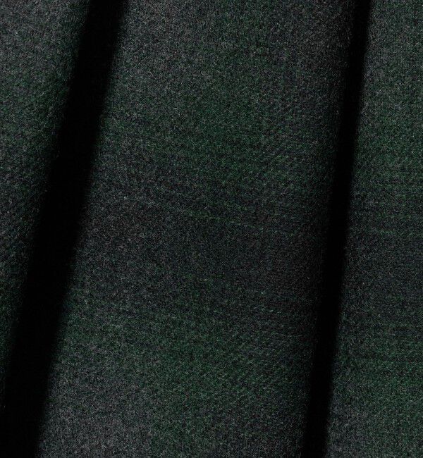 UNITED ARROWS「＜SACRA＞オンブレチェック パンツ」|チノ|