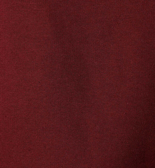 ABAHOUSE「【FRUIT OF THE LOOM】PRINT HOODIE4/ロゴプリント/」|パーカー|