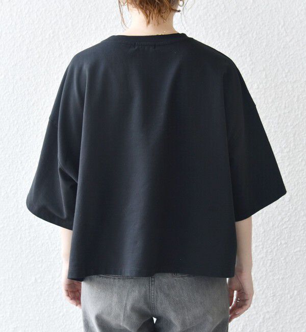 SHIPS any「【WEB限定】SHIPS any:〈洗濯機可能〉インレイ ハーフスリーブ ショートTEE」|Tシャツ・カットソー|