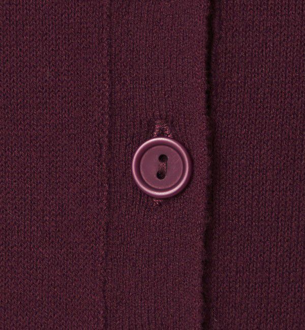 UNITED ARROWS green label relaxing「【別注】＜PROTAGONISTA＞ボタン カーディガン」|カーディガン|
