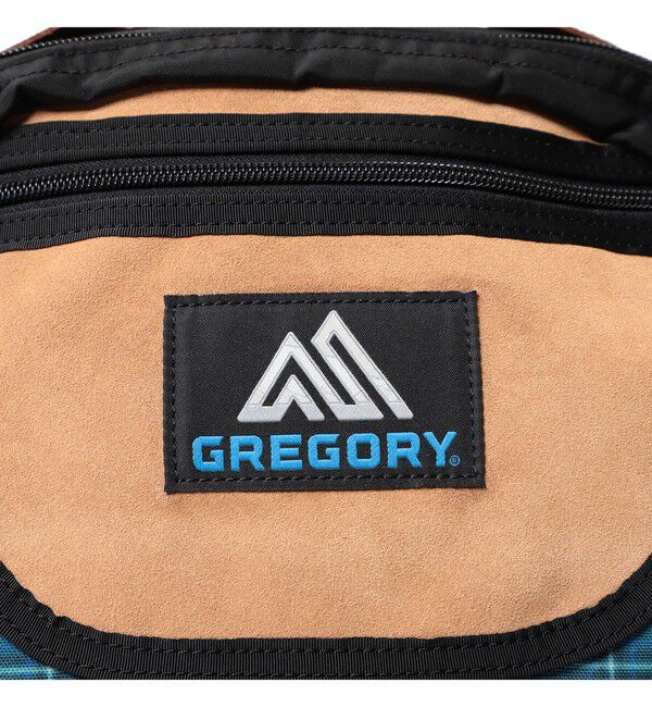 BEAMSBOY「【別注】GREGORY / VINTAGE DITCH DAY CHECK ＜A4サイズ収納 / PC収納可＞」|その他|