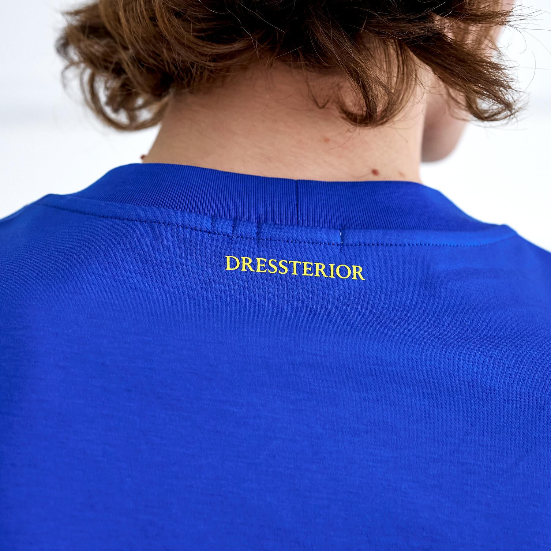 DRESSTERIOR「【接触冷感／抗菌防臭／消臭】ICE CLEAR COTTON フロッグオーバーフィットTシャツ」|Tシャツ・カットソー|