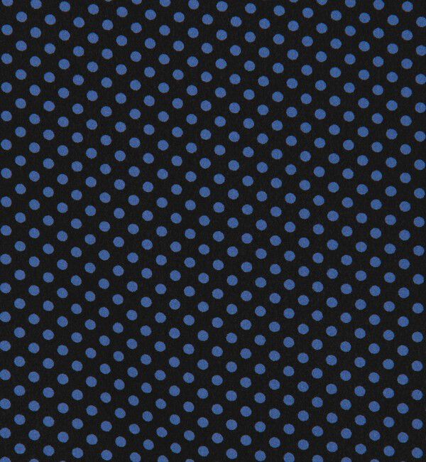 Ballsey「ドットプリント ロングシャツワンピース」|ワンピース|