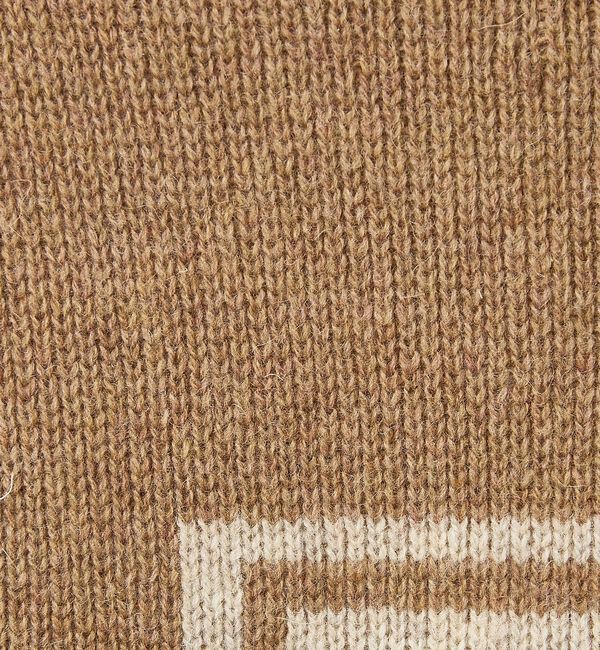 ABAHOUSE「【PENDLETON/ペンドルトン】HARDING / Shetland Woo」|ニット・セーター|