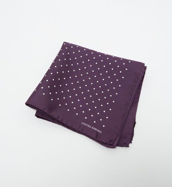 UNITED ARROWS「ドット ポケットチーフ」|その他|PURPLE