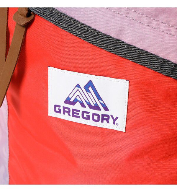 BEAMSBOY「【別注】GREGORY / DAY PACK」|その他|
