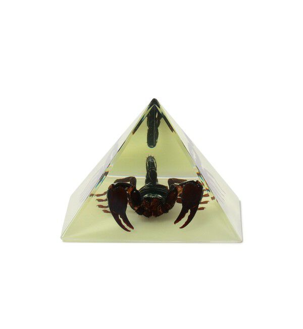 bPr BEAMS「REAL BUG / Pyramid」|その他|