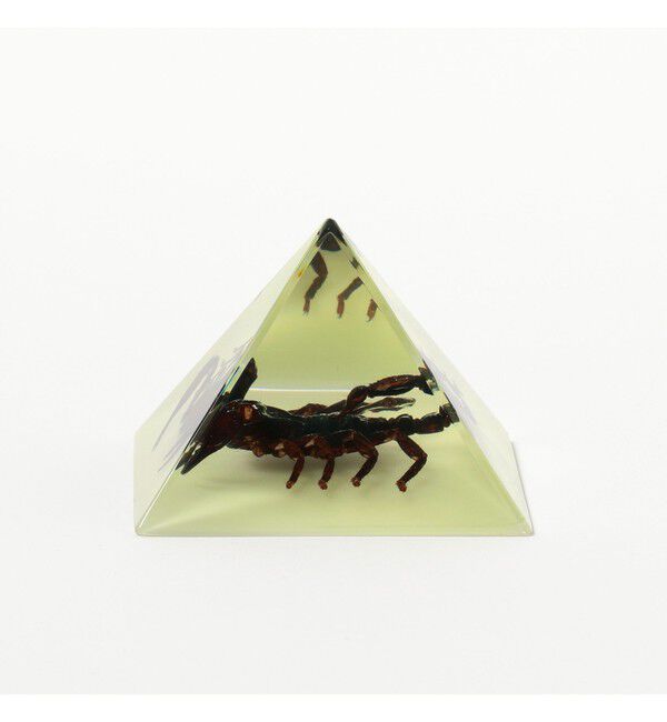 bPr BEAMS「REAL BUG / Pyramid」|その他|