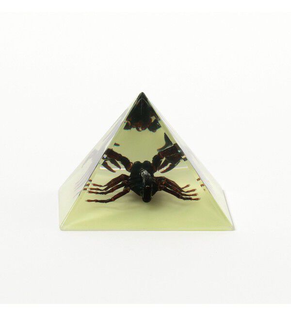 bPr BEAMS「REAL BUG / Pyramid」|その他|