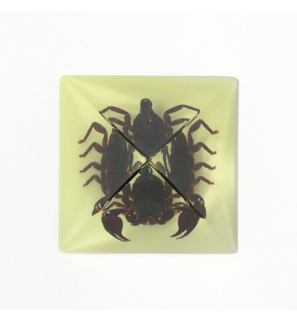 bPr BEAMS「REAL BUG / Pyramid」|その他|