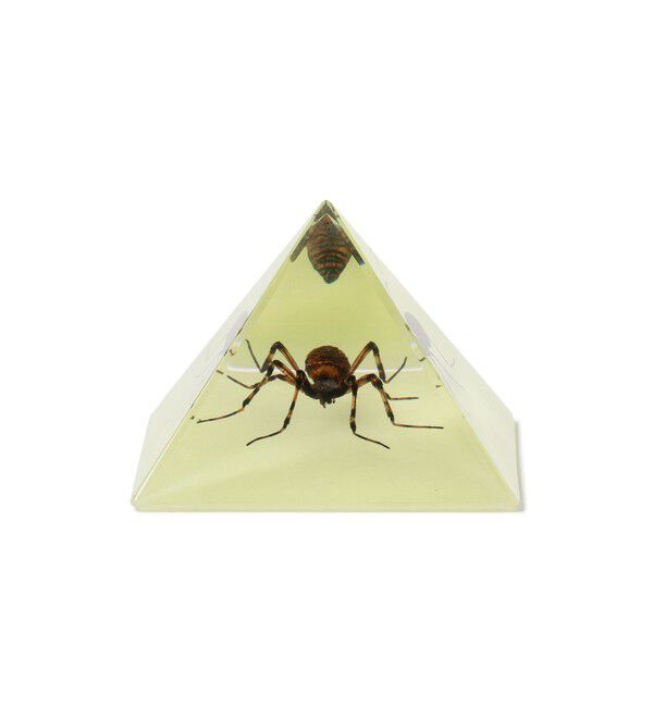 bPr BEAMS「REAL BUG / Pyramid」|その他|