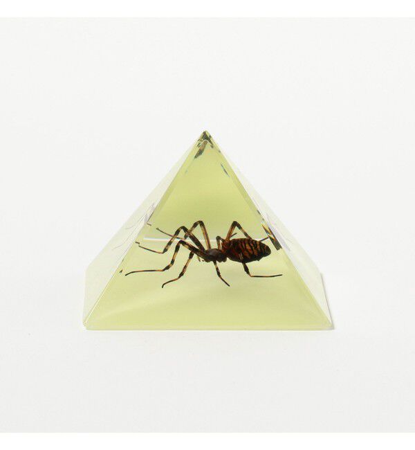 bPr BEAMS「REAL BUG / Pyramid」|その他|