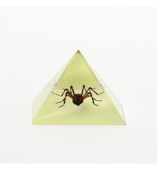 bPr BEAMS「REAL BUG / Pyramid」|その他|