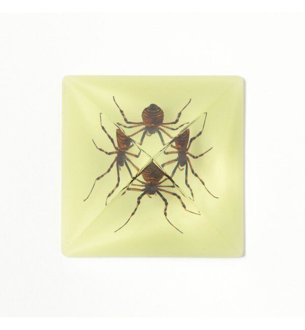 bPr BEAMS「REAL BUG / Pyramid」|その他|