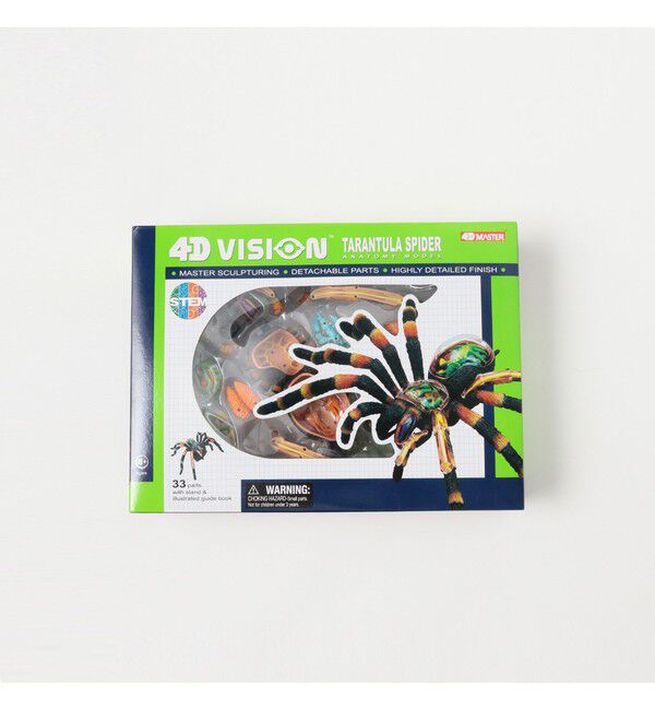 bPr BEAMS「4D MASTER / INSECT ANATOMY」|その他|