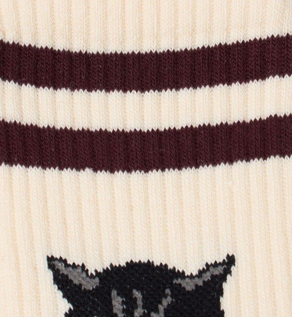 UNITED ARROWS green label relaxing「＜ROSTER SOX＞キャット ソックス」|ソックス|