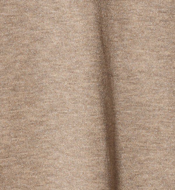 UNITED ARROWS green label relaxing「シャイニーラメ ショートスリーブ カットソー」|Tシャツ・カットソー|