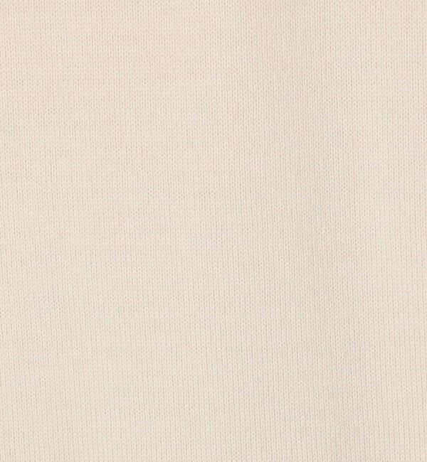GALERIE VIE「【WEB先行予約】ソフトウーステッドウール クルーネックプルオーバー」|ニット・セーター|