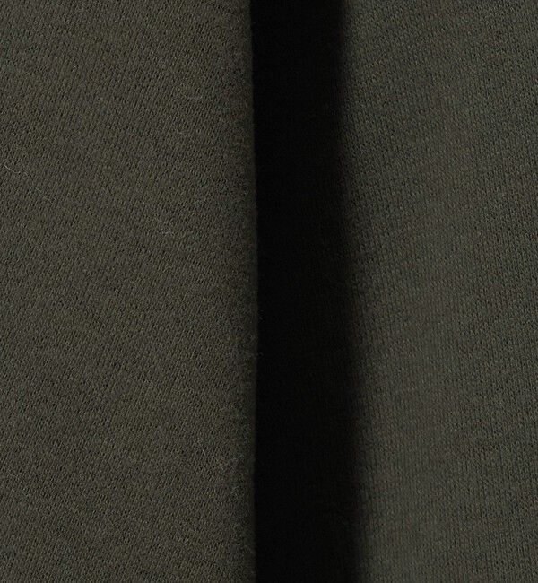 UNITED ARROWS green label relaxing「【別注】＜Champion＞ CVC ヘンリーボタン スウェット プルオーバー」|スウェット・ジャージ|