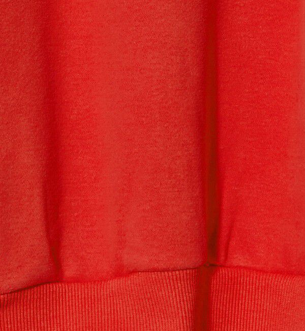 UNITED ARROWS green label relaxing「【別注】＜Champion＞ CVC ヘンリーボタン スウェット プルオーバー」|スウェット・ジャージ|
