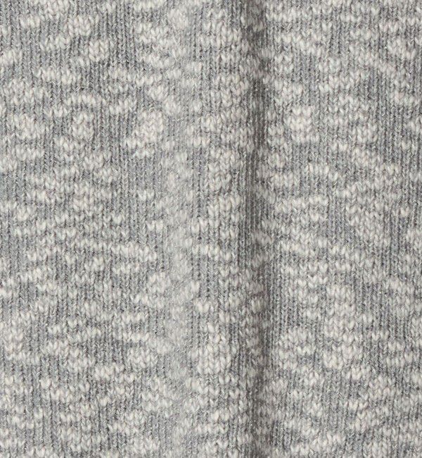 BEAUTY&YOUTH UNITED ARROWS「【別注】＜＋81BRANCA＞Vネック ニット ベスト」|ベスト・ジレ|