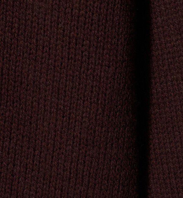 BEAUTY&YOUTH UNITED ARROWS「【別注】＜LOGAN knitting mills＞Vネック ニット フーディ」|ニット・セーター|