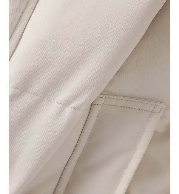 SLOBE IENA「《追加予約》DANTON/ダントン POLYESTER DOWN DT-A0008」|ダウン|