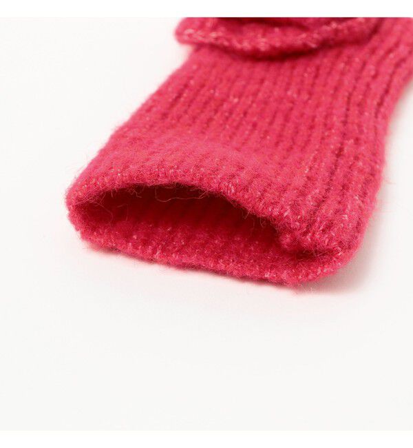 Ray BEAMS 「【別注】Casselini &times; Ray BEAMS / フラワー ニット グローブ」|手袋|