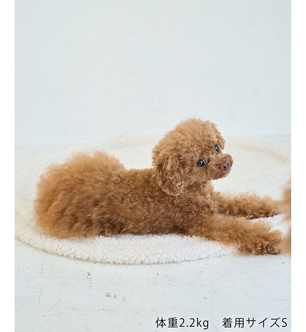 ROPE PICNIC PASSAGE「【DOG】マルチボーダーリブボレロ」|その他|