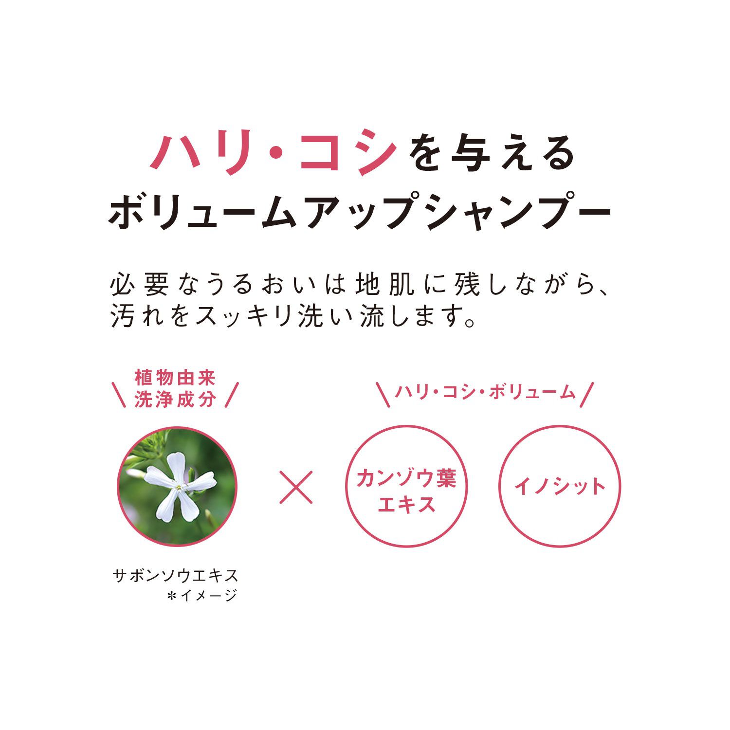 ORBIS「ORBIS スカルプ リファイニング シャンプー ボトル入り 250mL 」|シャンプー|