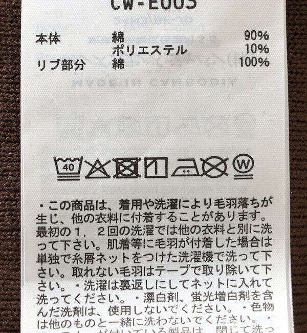 SHIPS any「Champion:〈洗濯機可能〉リバースウィーブ(R) 裏起毛 V ガゼット スウェット」|スウェット・ジャージ|