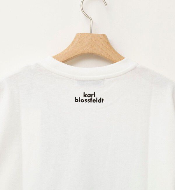Rie Miller「【WEB＆一部店舗限アイテム】【karl blossfeldt】プラントフォトＴシャツ」|Tシャツ・カットソー|