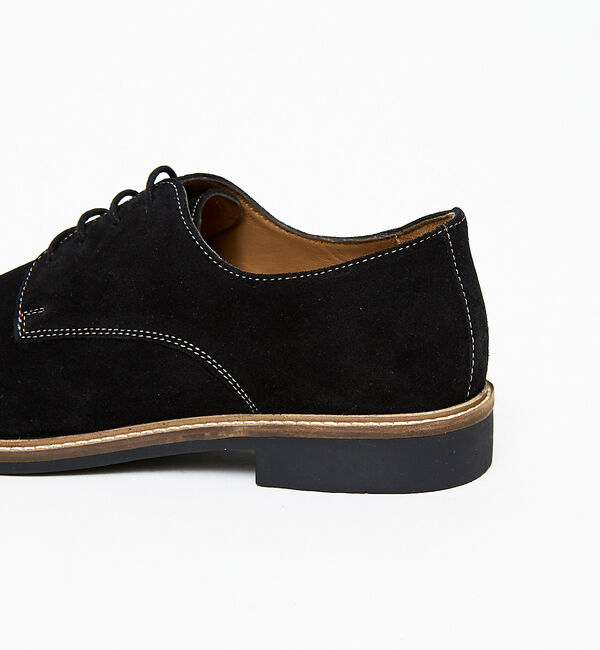 alfredoBANNISTER「【SHOO IN SHOE】スエード ダービーシューズ 一部店舗＋WEB限定」|その他|