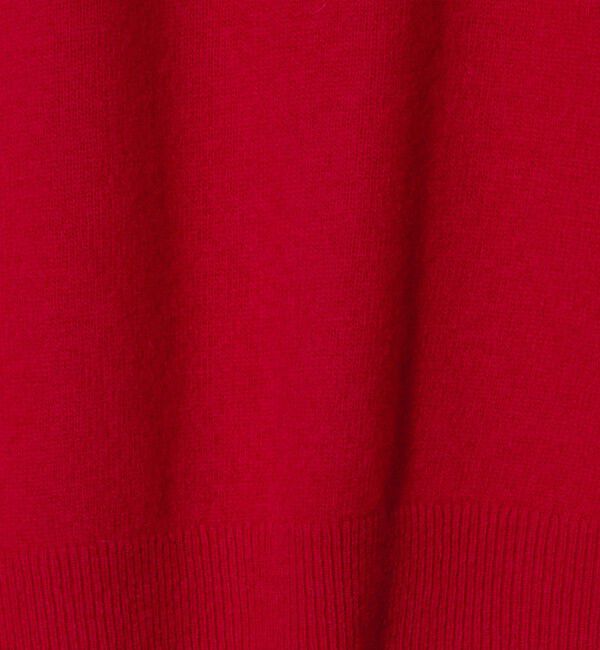 UNITED ARROWS green label relaxing「【別注】＜LACOSTE＞ポロニット」|ニット・セーター|