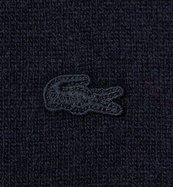 UNITED ARROWS green label relaxing「【別注】＜LACOSTE＞ポロニット」|ニット・セーター|