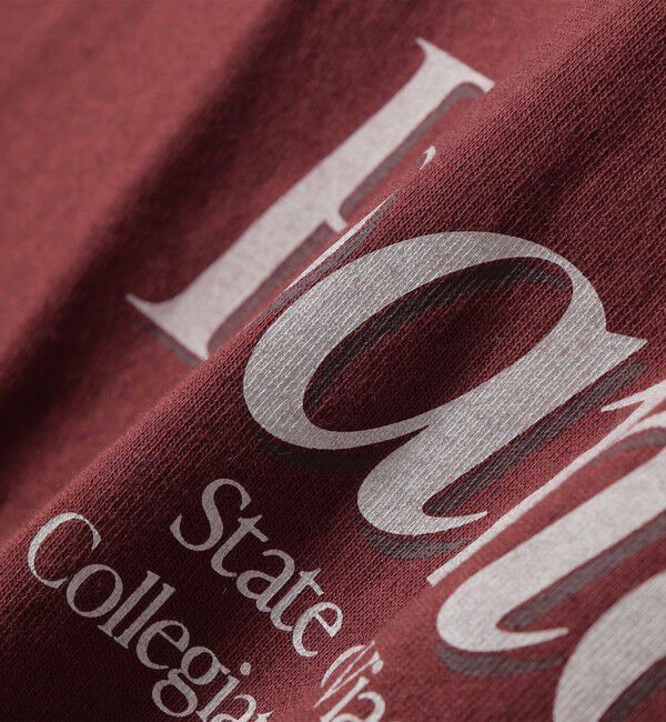 SHIPS any「【SHIPS any別注】Collegiate Pacific:〈洗濯機可能〉V ガゼット プリント & 刺繍 Tシャツ」|Tシャツ・カットソー|