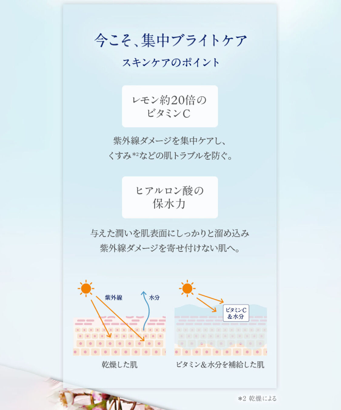 NEAL&rsquo;S YARD REMEDIES「ワイルドローズ ビューティセラム　30ml」|美容液・オイル・クリーム|